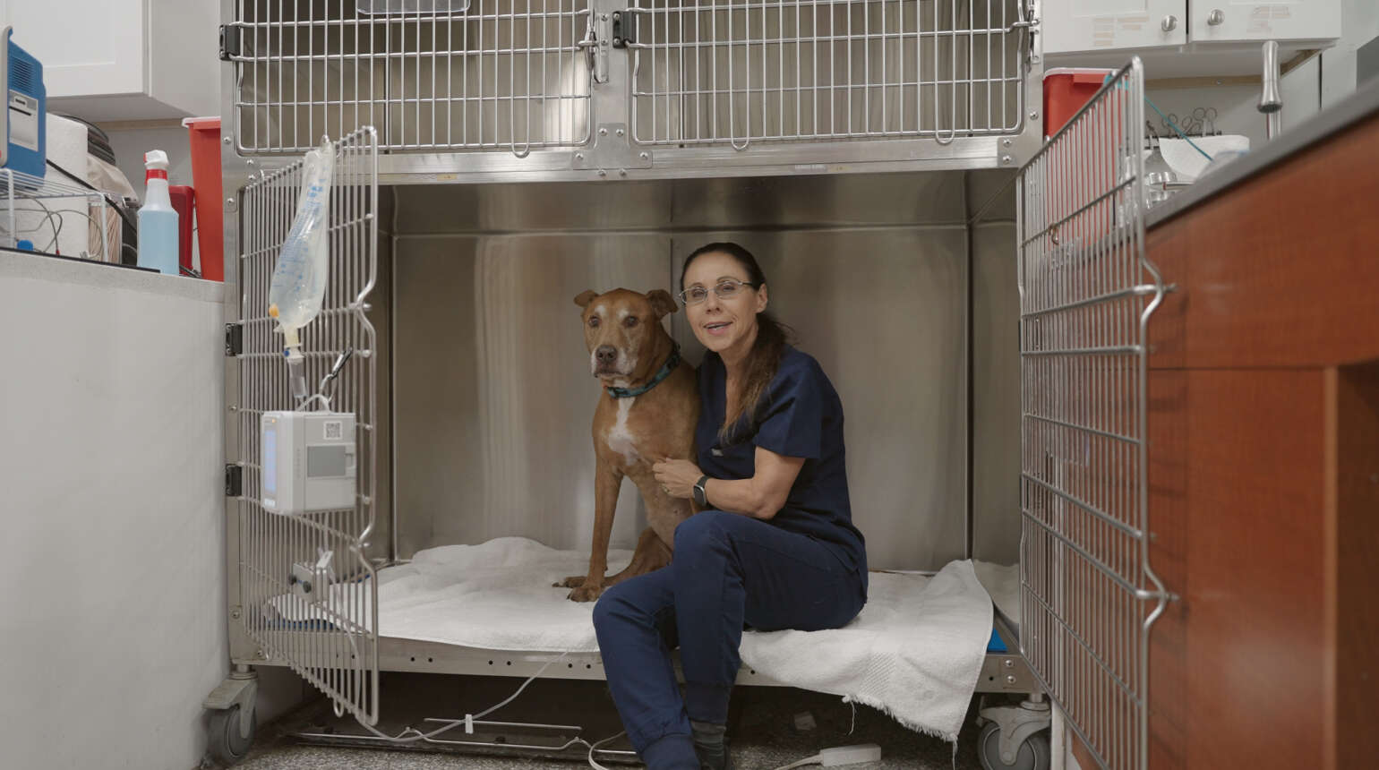 Hospitalization | Boca Raton Emergency Veterinary Clinic