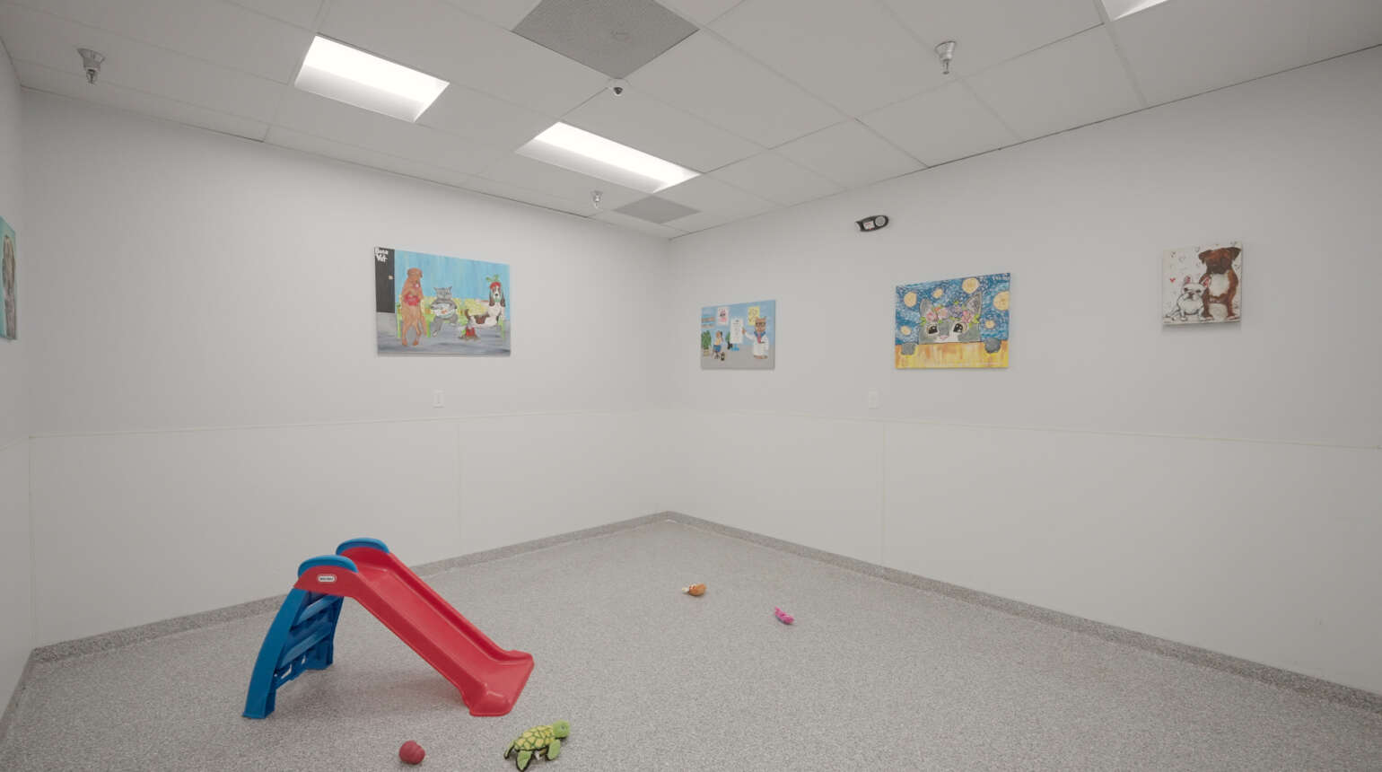 Doggie Daycare | Boca Raton Veterinary Clinic