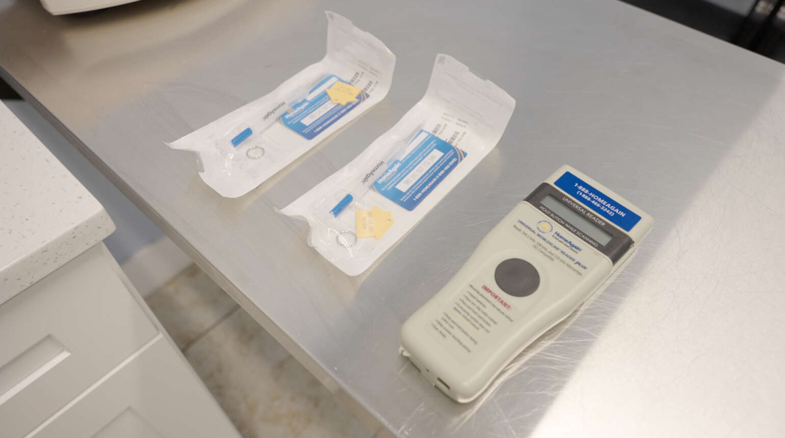 Microchipping | Boca Raton Veterinary Clinic