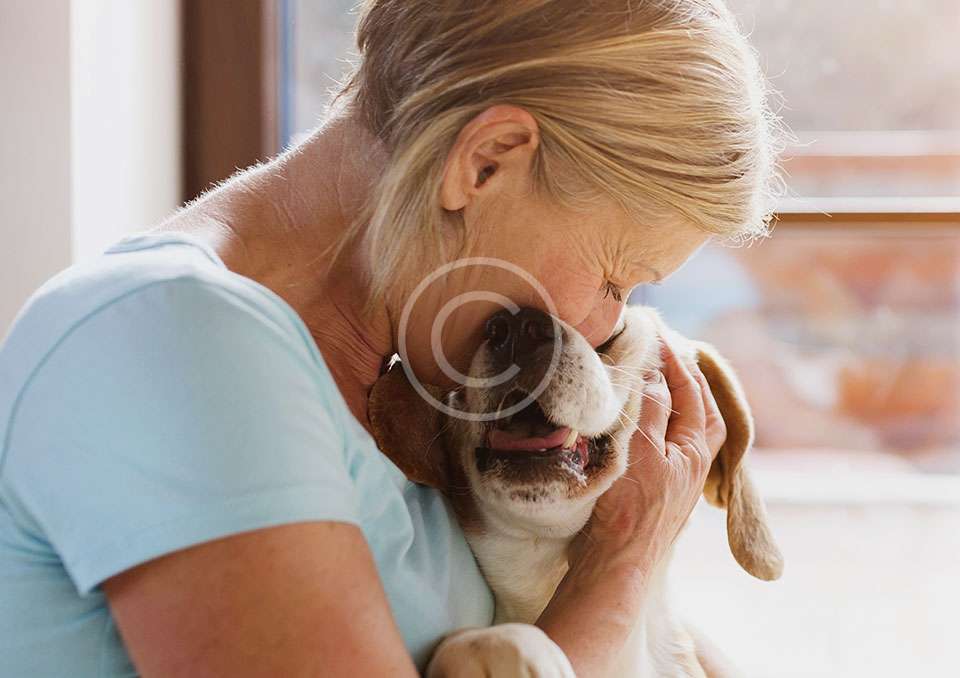 Senior woman hugging a smiling dog by a window, expressing love and companionship.