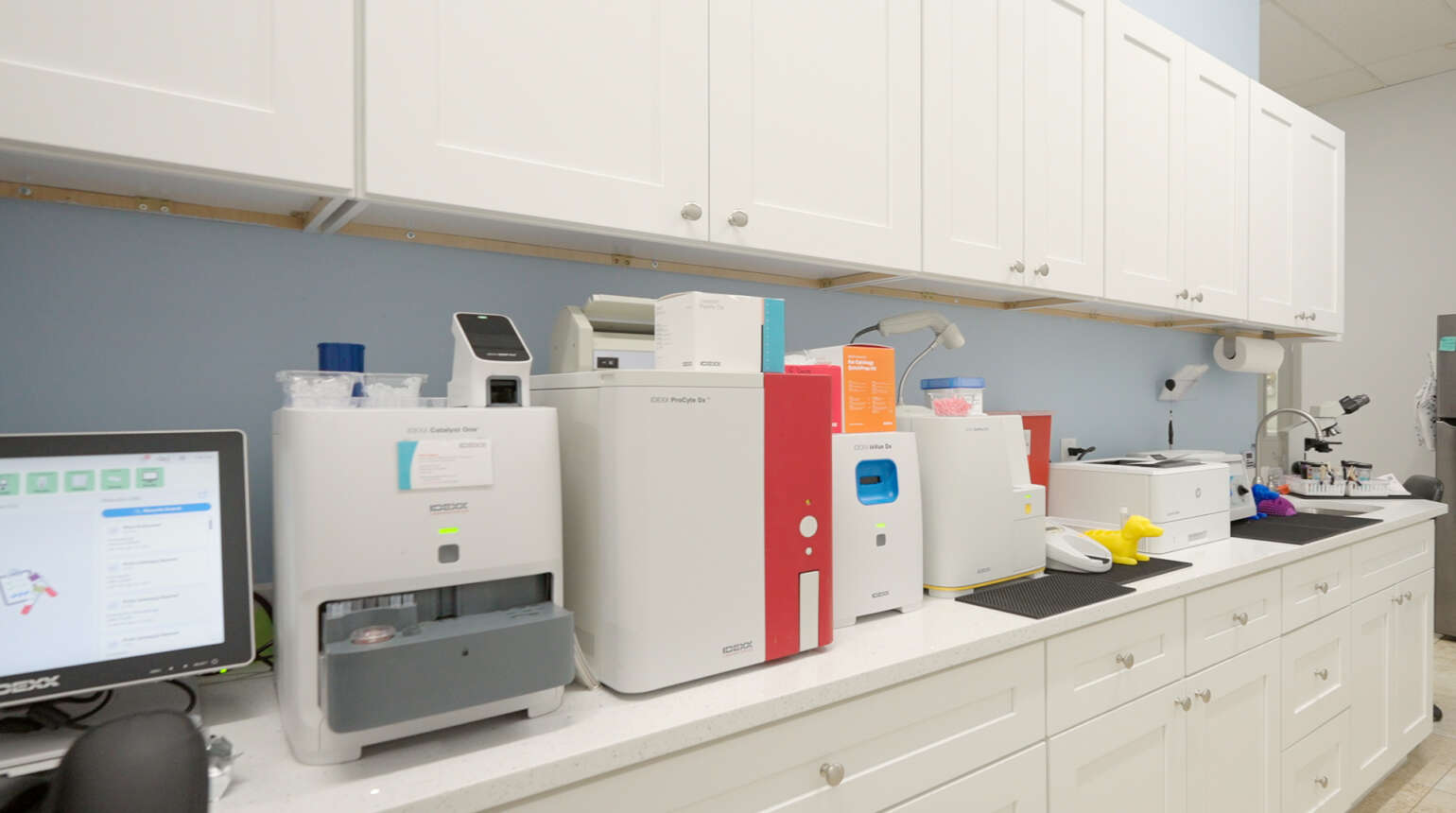 Laboratory Services | Boca Raton Emergency Veterinary Clinic