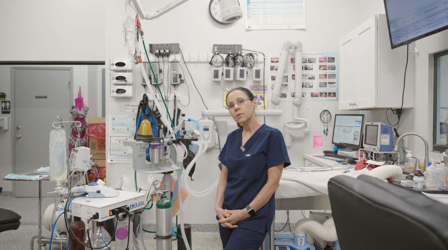 Dental Care | Boca Raton Emergency Veterinary Clinic