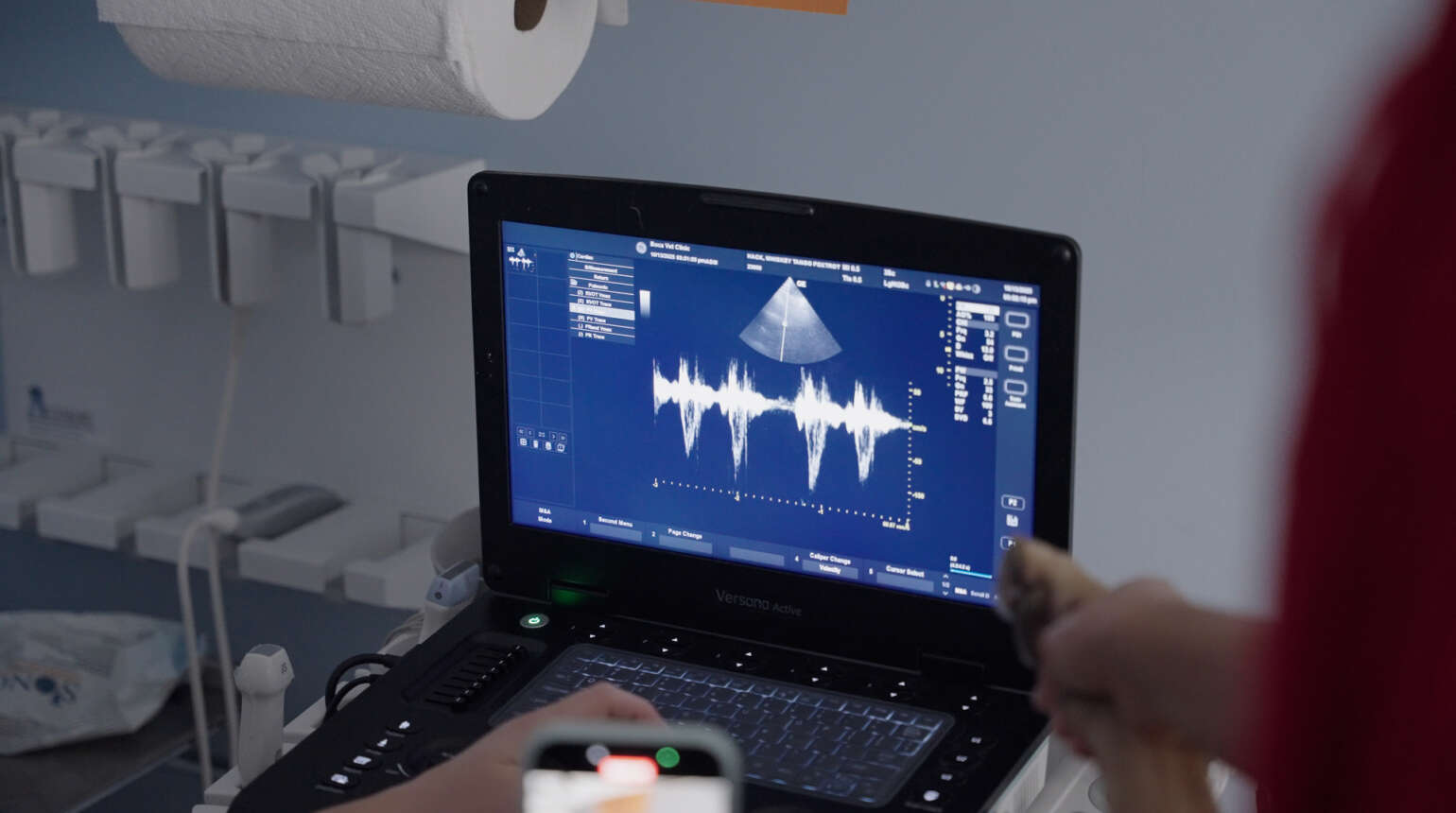 Same Day Ultrasound and Echocardiogram | Boca Raton Emergency Veterinary Clinic