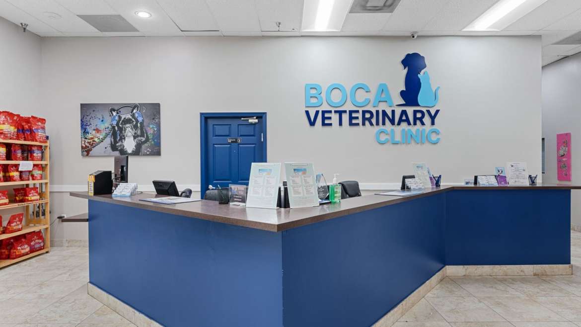 Boca Raton Veterinary Clinic – Open 7 Days a Week