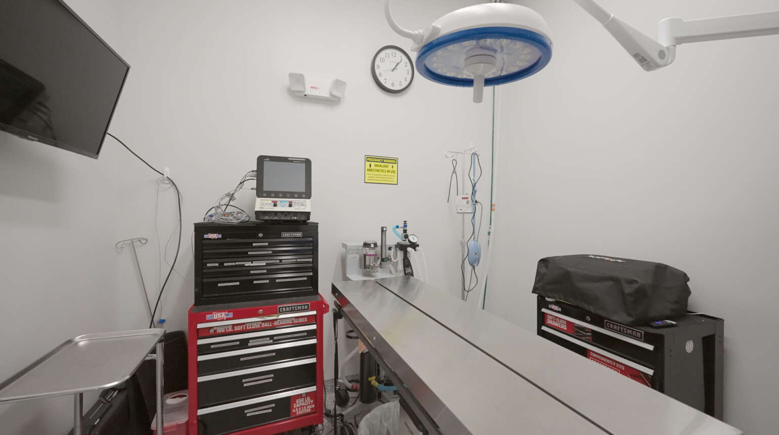 Surgery | Boca Raton Emergency Veterinary Clinic