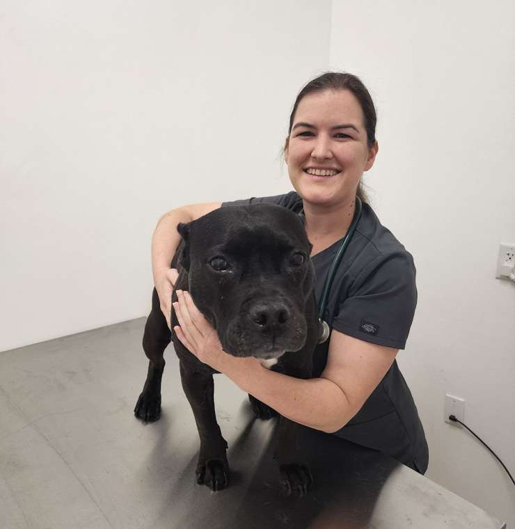 Dr Danielle Moragas, Veterinarian