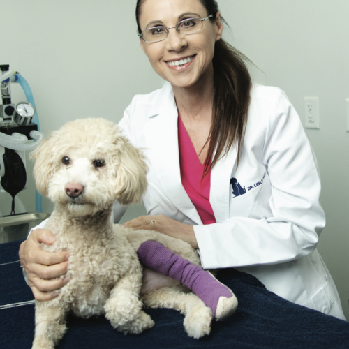 Veterinarian smiles while comforting a dog with a bandaged leg on exam table.