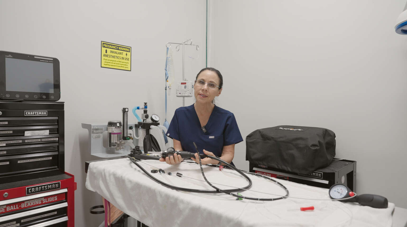 Endoscopy Dogs & Cats – Boca Raton Emergency Veterinary Clinic