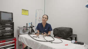 Veterinarian preparing endoscopy equipment in a medical room.
