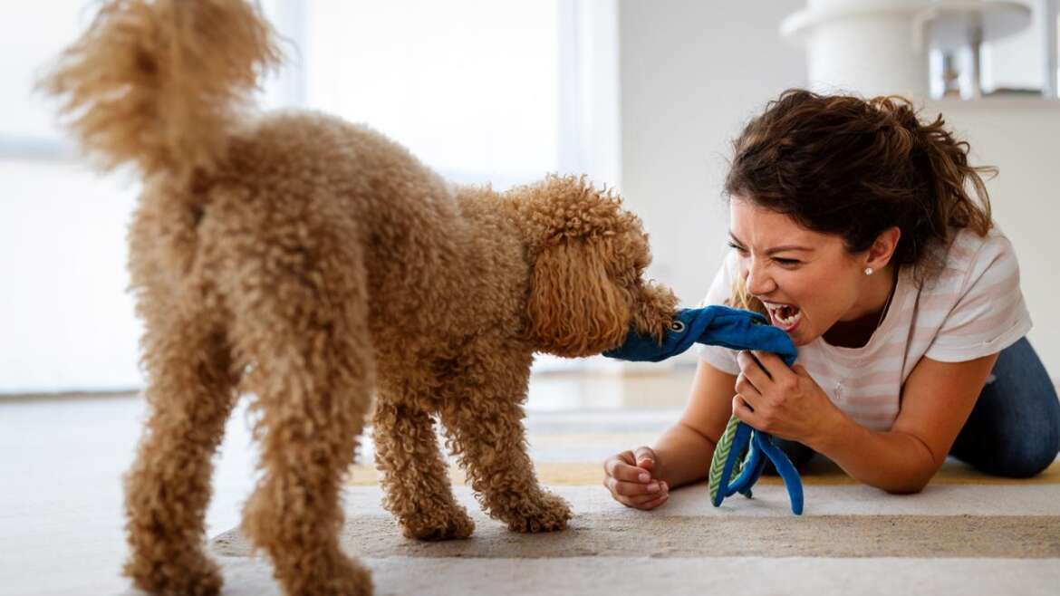 Emergency Care Tips for Pet Owners in Boca Raton